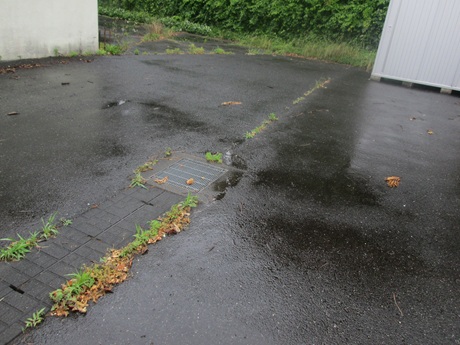 外は雨